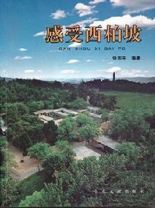 感受西柏坡 感受西柏坡