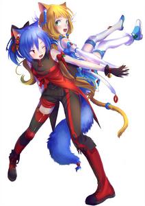 風信子（左）和晚香玉（右）