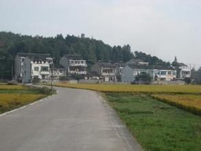 桃豐村[江西省贛州市會昌縣麻州鎮桃豐村]