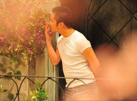 春天的花夏天的雨 春天的花夏天的雨