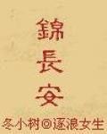 錦長安 錦長安