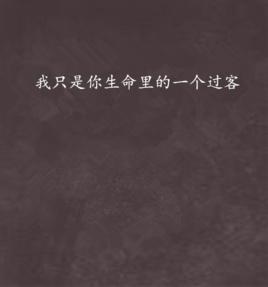 我只是你生命里的一個過客 我只是你生命里的一個過客