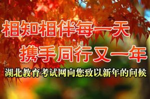 湖北省教育考試網 湖北省教育考試網