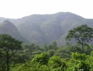 後山景觀 後山景觀