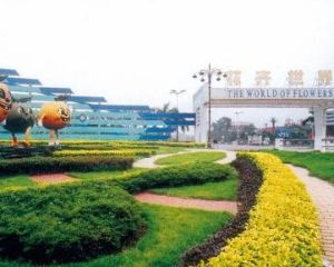 陳村花卉世界 陳村花卉世界