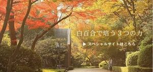 日本白百合女子大學 日本白百合女子大學