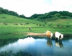 南山雪域林卡藏族風情園 南山雪域林卡藏族風情園