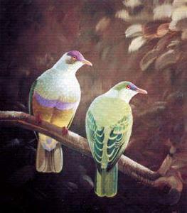 拉帕島果鳩 拉帕島果鳩