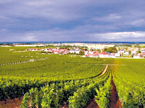 羅曼尼·康帝酒園