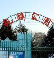 兆麟公園 兆麟公園