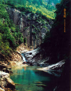 大熊貓自然保護區 大熊貓自然保護區