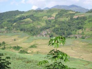 來兒列自然村 來兒列自然村