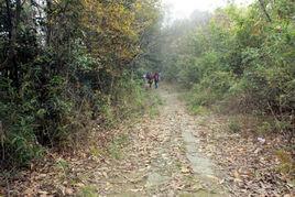 西青頭古道 西青頭古道