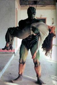 真&middot;假面騎士