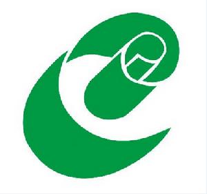 山東晨鳴紙業集團股份有限公司 山東晨鳴紙業集團股份有限公司