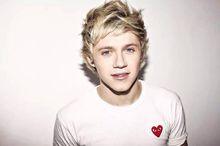 奈爾&middot;霍蘭