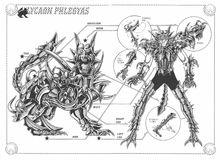 聖鬥士星矢[車田正美原作的漫畫]