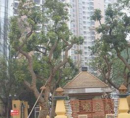 三溪酒城華府 三溪酒城華府