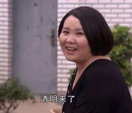 謝蘭[電視劇鄉村愛情人物]