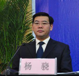 楊驍[華僑大學信息科學與工程學院講師]