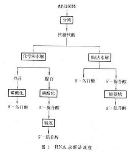 核苷酸類調味料 核苷酸類調味料