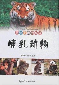 動物王國的秘密 動物王國的秘密