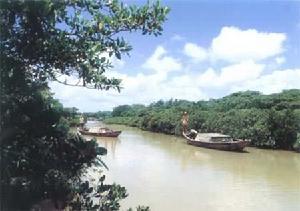 東寨港紅樹林海岸