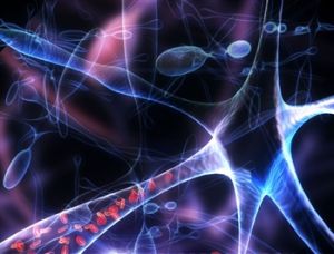 神經再生 神經再生