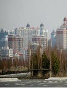 哈爾濱群力新區 哈爾濱群力新區