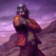 龐達&middot;巴巴