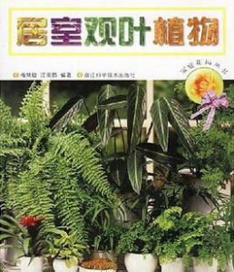 居室觀葉植物 居室觀葉植物