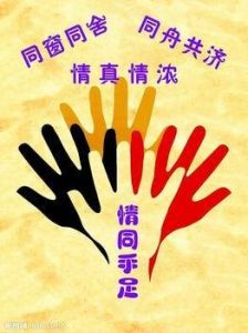 情同手足 情同手足