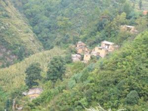 新山自然村 新山自然村