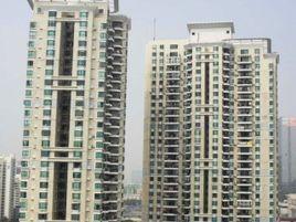 海洋之心(南粵明珠) 海洋之心(南粵明珠)