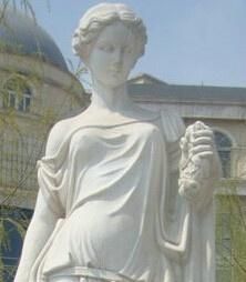 尼莫西妮 尼莫西妮