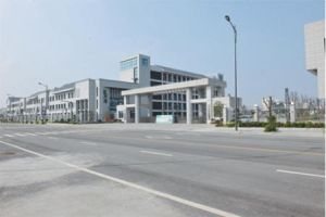 騰飛路實驗學校 騰飛路實驗學校