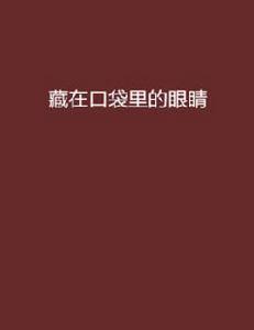 藏在口袋裡的眼睛 藏在口袋裡的眼睛