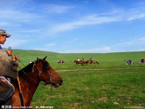 草原賽馬場景