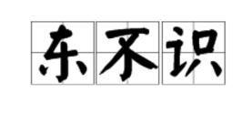 東不識 東不識