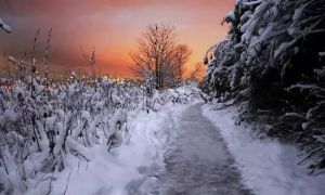 溫哥華2010 溫哥華2010