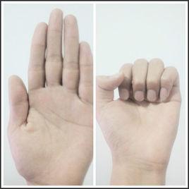 握拳法則 握拳法則