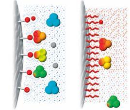 疏水色譜 疏水色譜