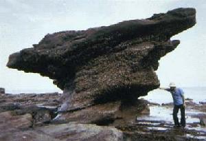 海洋的地質作用