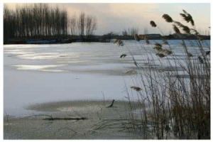 大西爾根氣河 大西爾根氣河