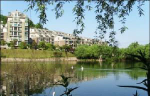 鳴翠桃源 鳴翠桃源