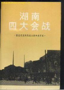 湖南四大會戰 湖南四大會戰