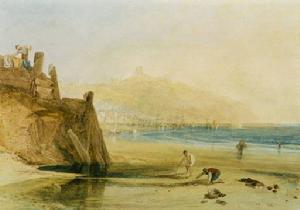 男孩嘗試捉蟹 男孩嘗試捉蟹