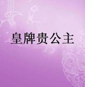 皇牌貴公主 皇牌貴公主