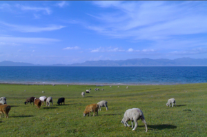 庫爾德寧風景區