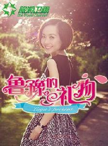魯豫的禮物第一季 魯豫的禮物第一季